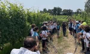 linea verde sentieri novarese