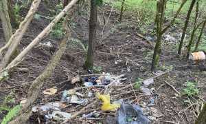 maggiora giornata ecologica