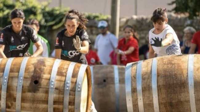 maggiora palio botti foto