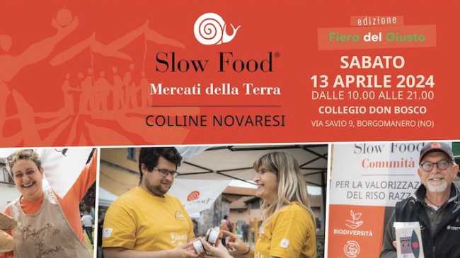 mercat colline nov foto