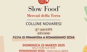 mercati terra romagnano 25