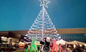 mercatino cavallirio