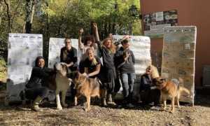 miletta volontari donazione