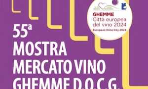 mostra vino ghemme 25