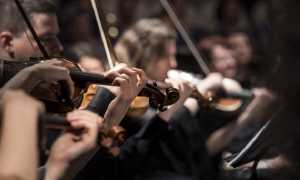 orchestra
