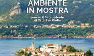 orta ambiente in mostra