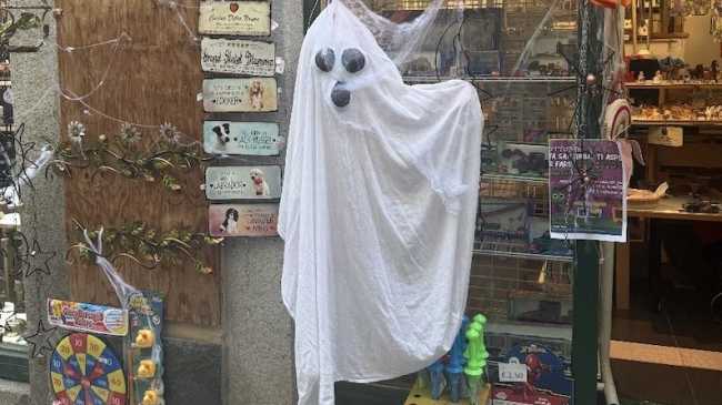 orta monster street tour 2