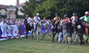palio asini borgo 24