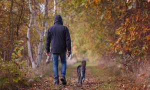 passeggiata cane