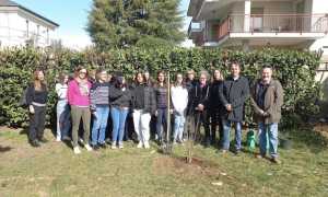 piantumazione ibisco borgo