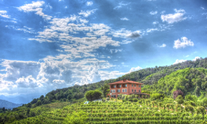 podere ai valloni boca