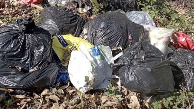 pogno abbandono rifiuti