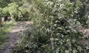 romagnano sopralluogo maltempo