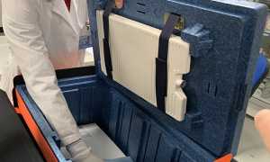 vaccino scatola refrigerata