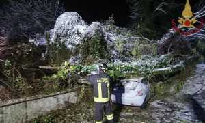 vigili fuoco neve albero auto foto