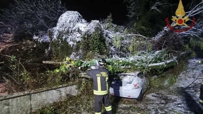 vigili fuoco neve albero auto foto