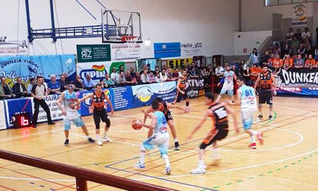 vinavil cipir mamy borgosesia