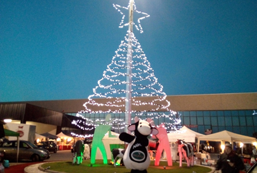 mercatino cavallirio