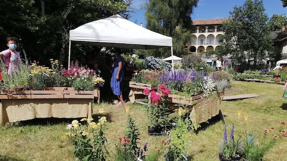 menta e rosmarino 2020