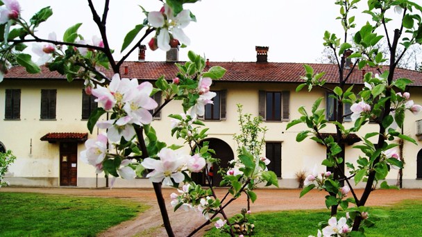 Borgomanero Fondazione Marazza primavera