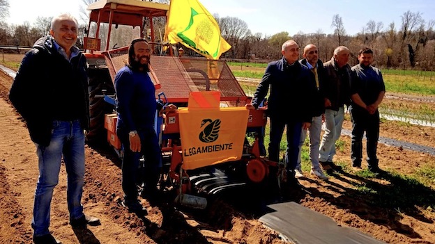 borgo pacciamatura borgo verde