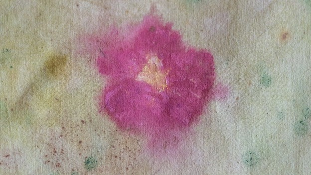 oltre il giardino foto