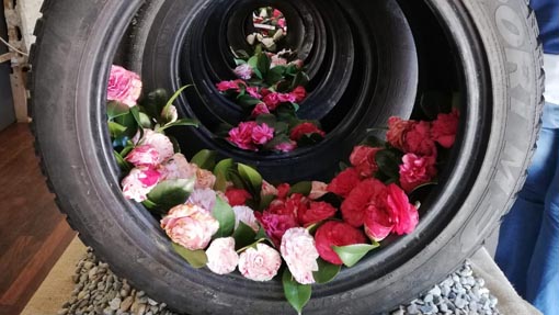 camelia gozzano repertorio