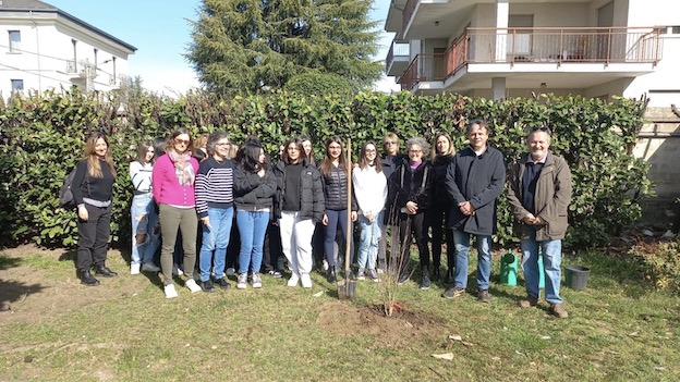 piantumazione ibisco borgo