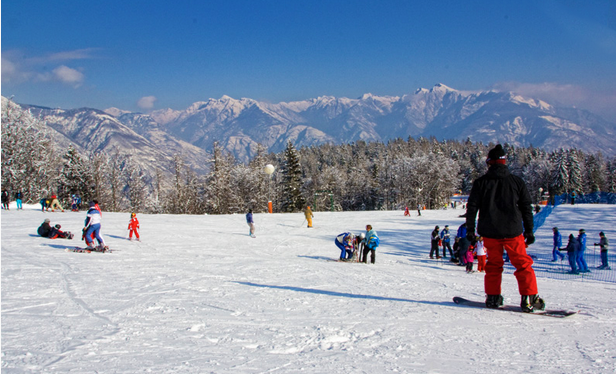 snowboard domobianca 19